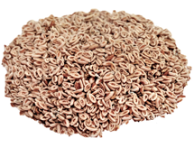 isabghol